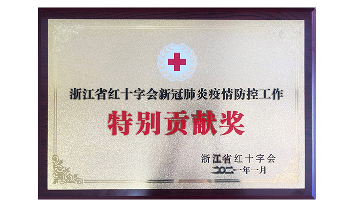 浙江省红十字会授予乐动平台“新冠疫情防控特别贡献奖”
